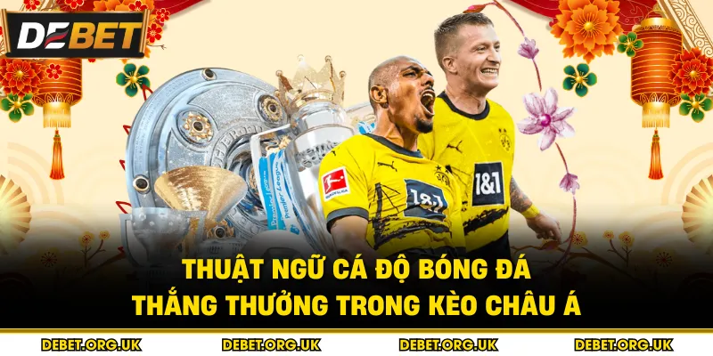 Thuật ngữ cá độ bóng đá thắng thưởng trong kèo châu Á