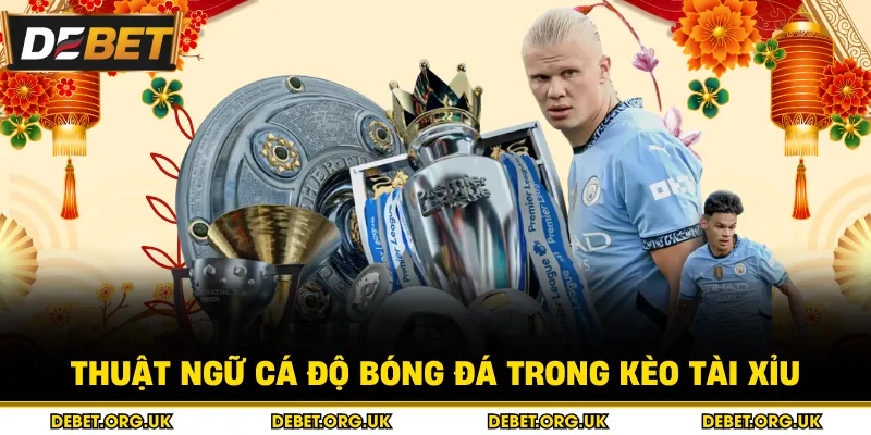 Thuật ngữ cá độ bóng đá trong kèo tài xỉu